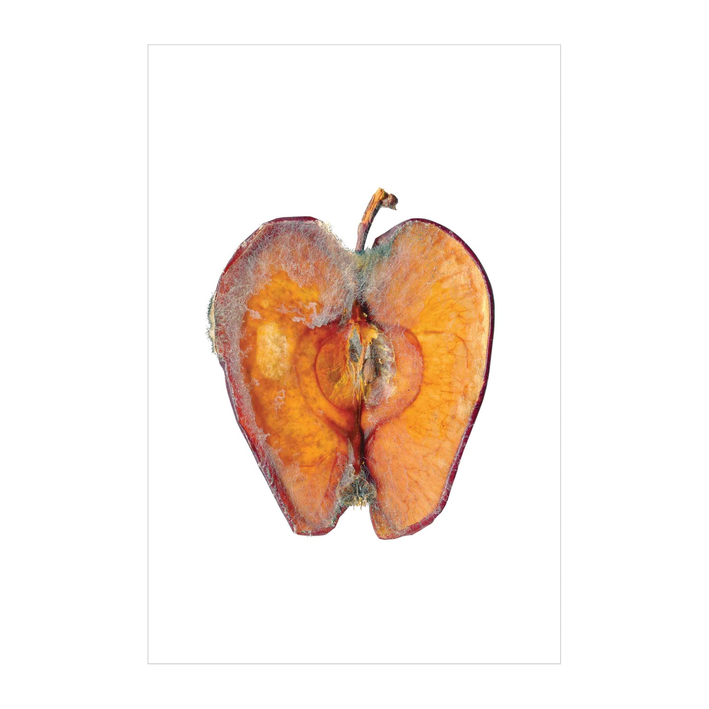 Rotten 2 image 0