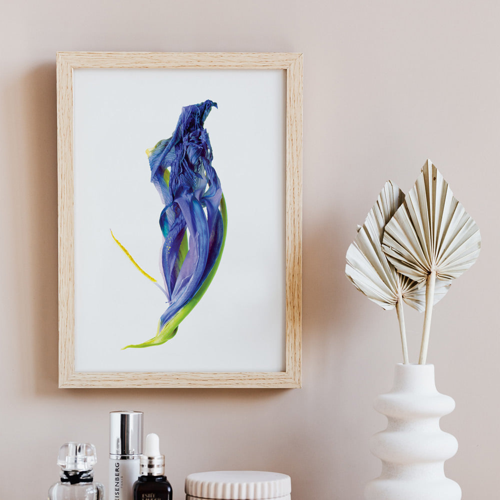 Withered - Iris image 1