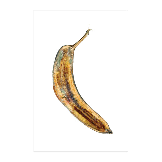 Rotten 1 image 0