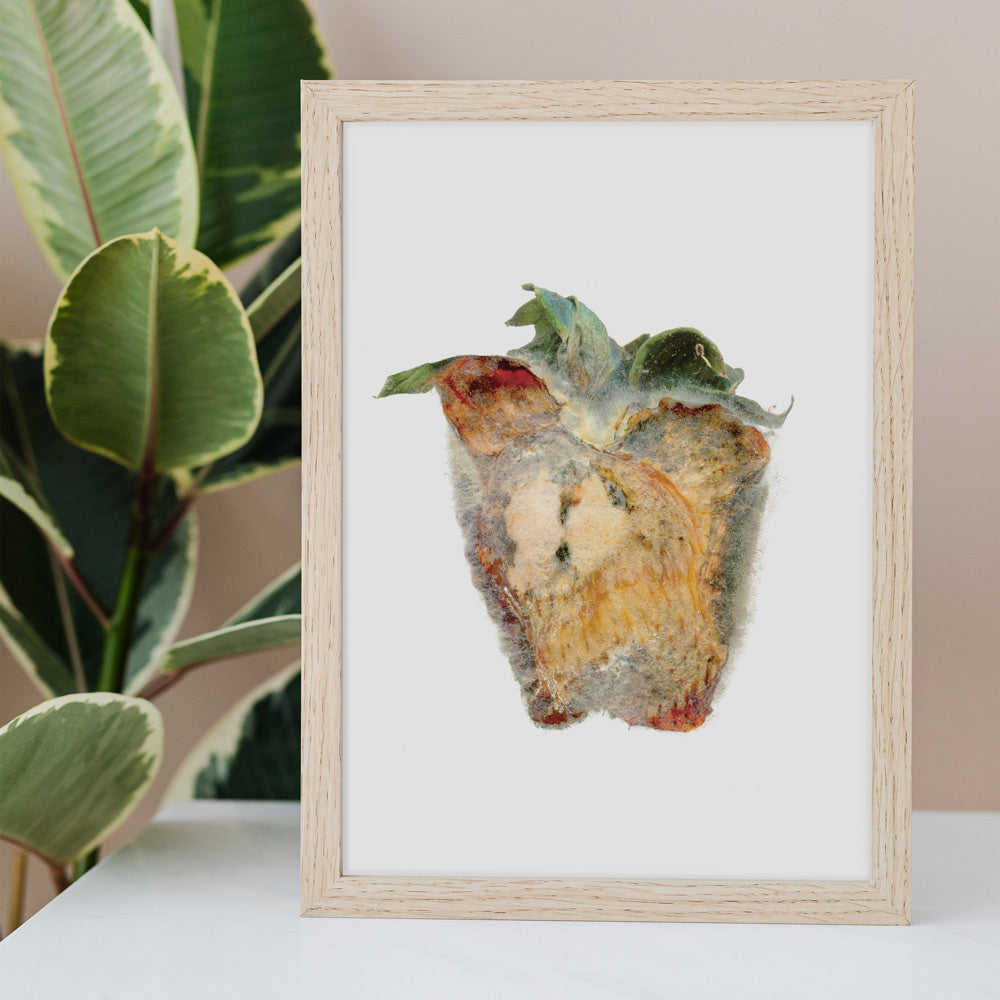 Rotten 4 image 1