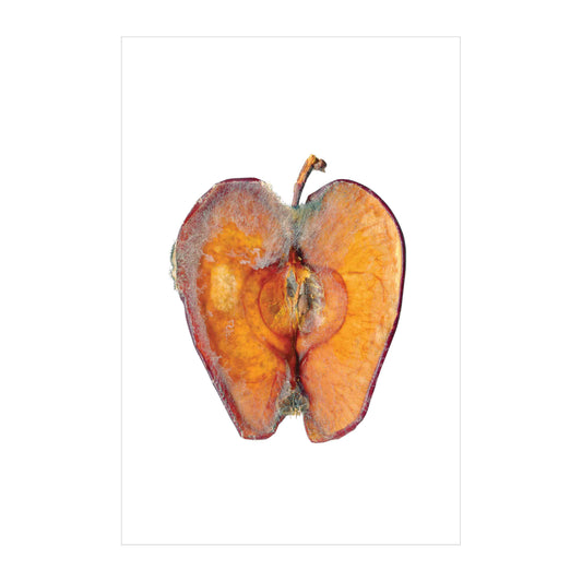 Rotten 2 image 0